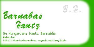 barnabas hantz business card