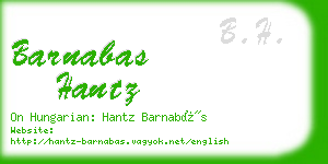 barnabas hantz business card